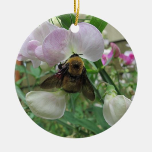 Bumblebee op zoete peper keramisch ornament (Voorkant)