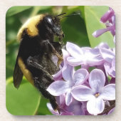 Bumblebee over Lila sluiting djoneill Drankjes Onderzetter (Voorkant)