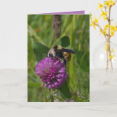 Bumblebee, paarse klaver, natuur scène, echt afbee kaart (Gele Bloem)