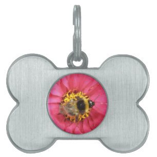 Bumblebee Pet Tag Huisdieren Naamplaatje