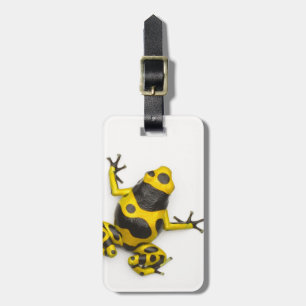 Bumblebee Poison Dart Frog Bagagelabel