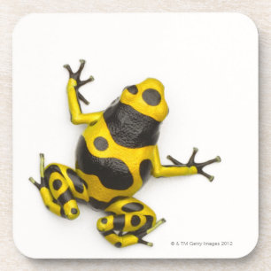 Bumblebee Poison Dart Frog Bier Onderzetter