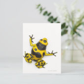 Bumblebee Poison Dart Frog Briefkaart (Staand voorkant)