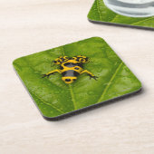 Bumblebee Poison Dart Frog Drankjes Onderzetter (Linkerzijde)
