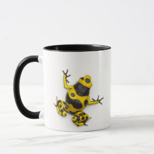 Bumblebee Poison Dart Frog Mok