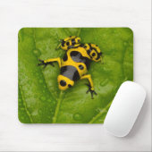 Bumblebee Poison Dart Frog Muismat (Met muis)