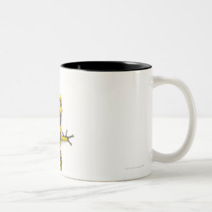 Bumblebee Poison Dart Frog Tweekleurige Koffiemok