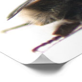 Bumblebee Poster (Hoek)