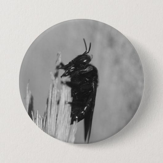 Bumblebee Ronde Button 7,6 Cm (Voorkant)