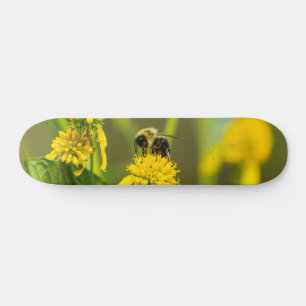 Bumblebee Skateboard