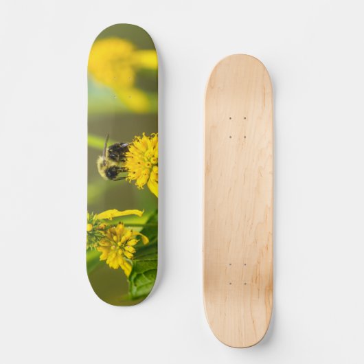 Bumblebee Skateboard (Voorkant)