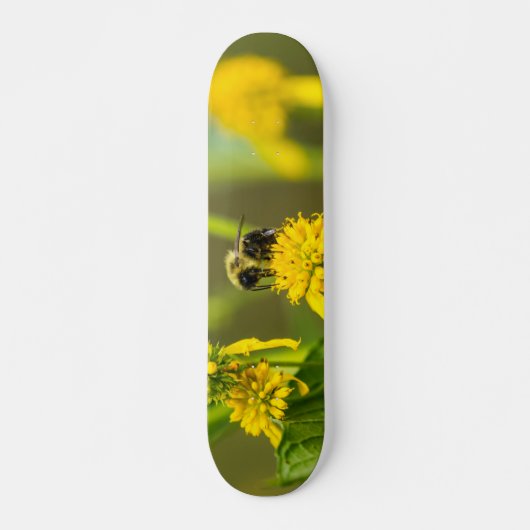 Bumblebee Skateboard (Voorkant)