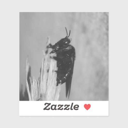 Bumblebee Sticker (Vel)