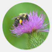 Bumblebee Sticker (Voorkant)