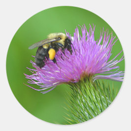 Bumblebee Sticker