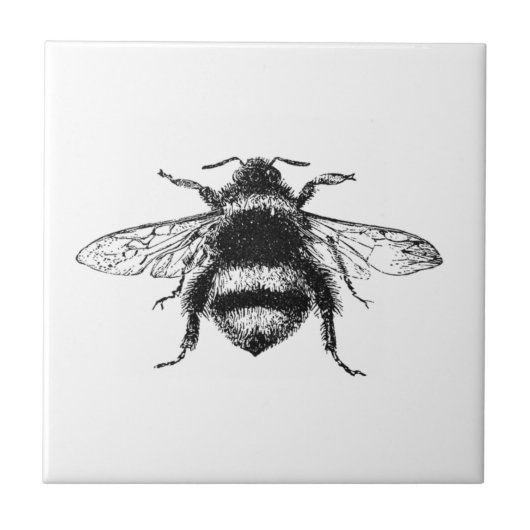 BumbleBee Tegeltje (Voorkant)