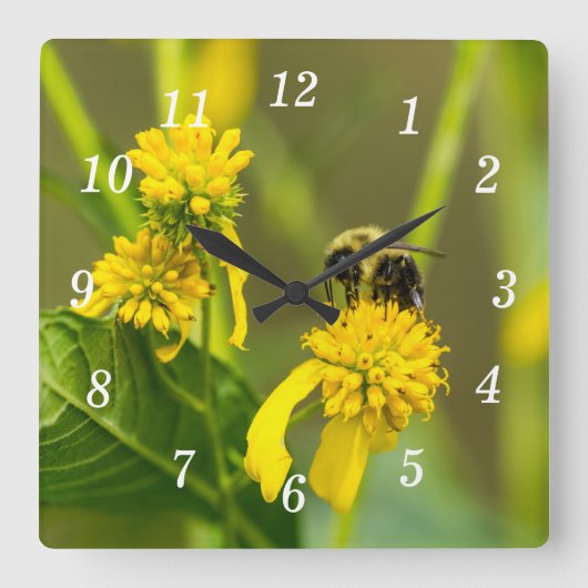 Bumblebee wandklok (Voorkant)