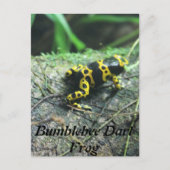 Bumblebeekkikker # 2 briefkaart (Voorkant)