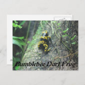 Bumblebeekkikker # 3 briefkaart (Voorkant / Achterkant)