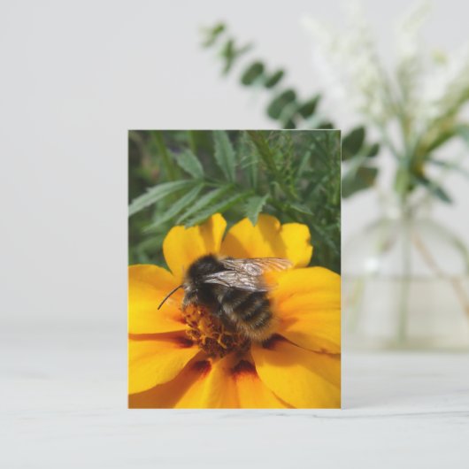 BumblebeenBriefkaart Briefkaart (Staand voorkant)