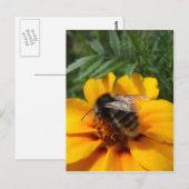 BumblebeenBriefkaart Briefkaart (Voorkant / Achterkant)