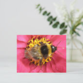 BumblebeenBriefkaart Briefkaart (Staand voorkant)