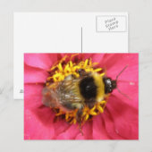 BumblebeenBriefkaart Briefkaart (Voorkant / Achterkant)