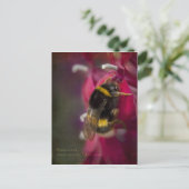 BumblebeenBriefkaart Briefkaart (Staand voorkant)