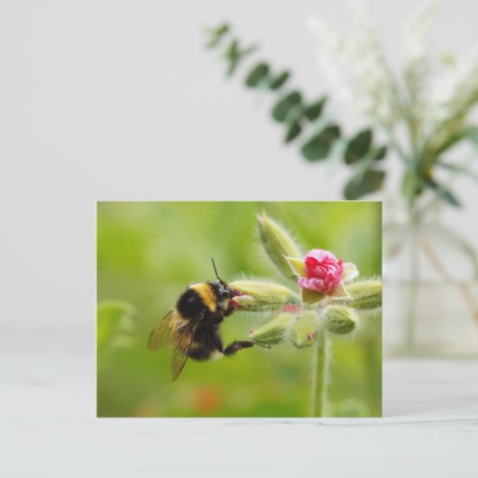 BumblebeenBriefkaart Briefkaart (Staand voorkant)