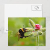 BumblebeenBriefkaart Briefkaart (Voorkant / Achterkant)