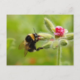 BumblebeenBriefkaart Briefkaart