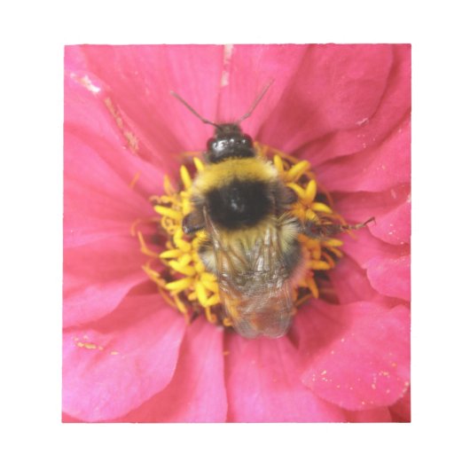 Bumblebeennotebook Notitieblok (Voorkant)
