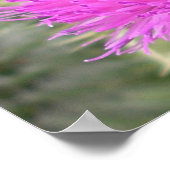 BumblebeenPoster Poster (Hoek)