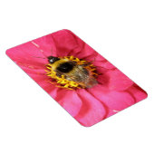 Bumblebeenpremie Magnet Magneet (Rechterzijde)