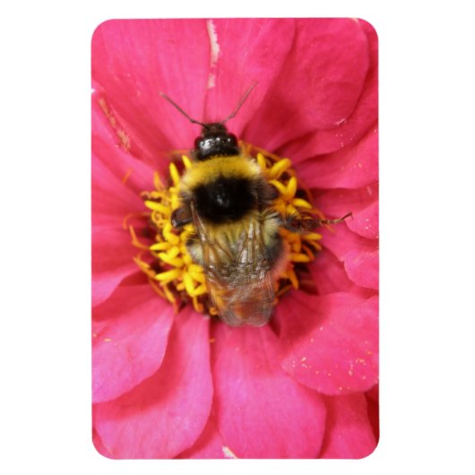 Bumblebeenpremie Magnet Magneet (Verticaal)