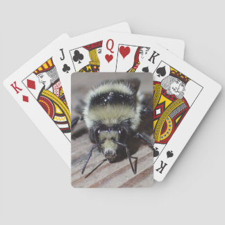 Bumblebeenspeelkaarten Pokerkaarten