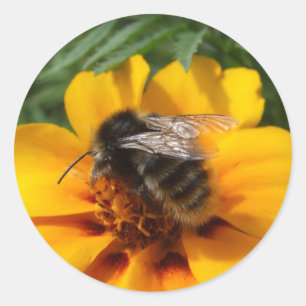 BumblebeenStickers Ronde Sticker