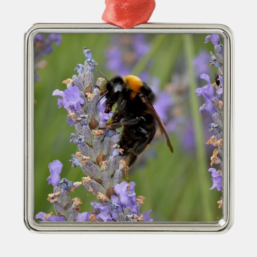 Bumblebeenvoer op lavenderbloemen metalen ornament (Voorkant)