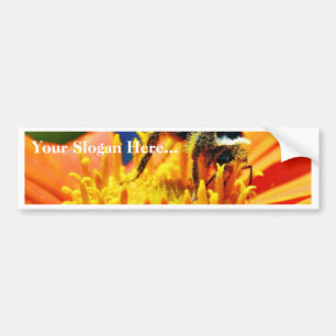 Bumblebees Flowers Macro Bumpersticker