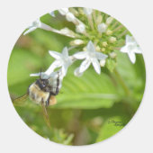 Bumblebei en bloemen ronde sticker (Voorkant)