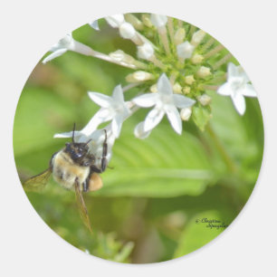 Bumblebei en bloemen ronde sticker