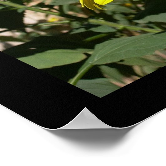 Bumblebei in een zonnebloem poster (Hoek)