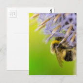 Bumblebei op een bloem briefkaart (Voorkant / Achterkant)