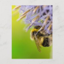 Bumblebei op een bloem briefkaart