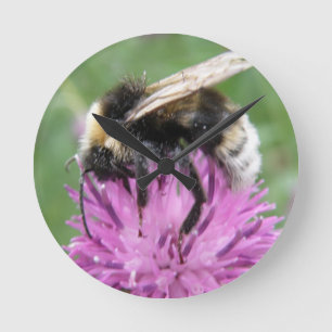 Bumblebei op een hevige wandklok