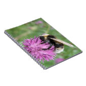 Bumblebei op een Notitieboek uit de Thistle (Rechterzijde)
