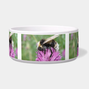 Bumblebei op een Thistle Dog Bowl Voerbakje