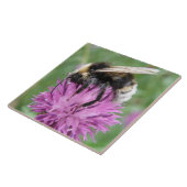 Bumblebei op een Thistle Tile Tegeltje (Zijkant)