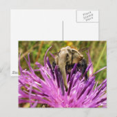 Bumblefant Briefkaart (Voorkant / Achterkant)
