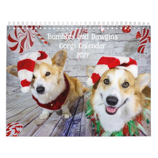 Bumbles en Dawgins Corgi Kalender 2027 (Hoes)